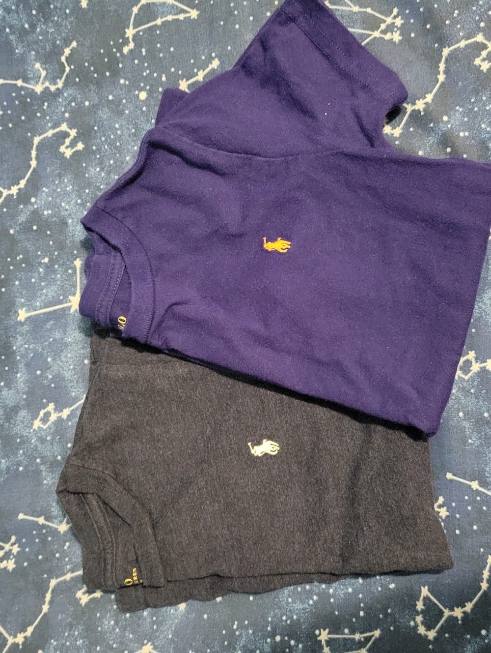 Polo by Ralph Lauren Kids Short Sleeve Tees in Purple & Charcoal